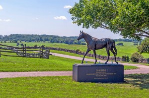 Please click on image for further details.