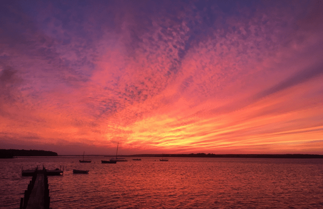 Screen Shot 2017-09-05 at 17.48.14